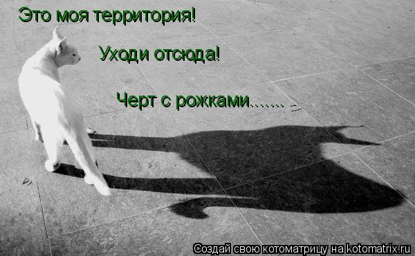 Это моя территория!Уходи отсюда!Черный черт! Это моя территория! Уходи отсюда! Черт с рожками.......... Котоматрица: Это моя территория!Уходи отсюда!Черный черт! Это моя территория! Уходи отсюда! Черт с рожками.......