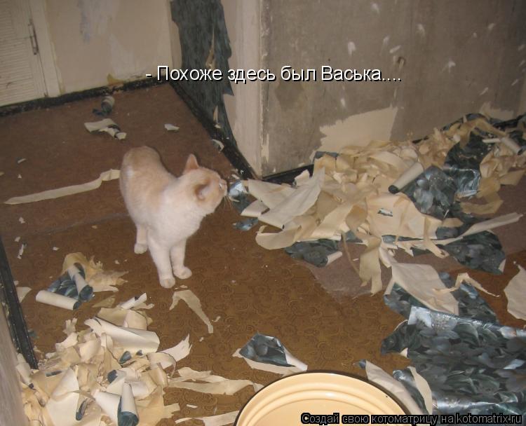 - Похоже здесь был Васька....... Котоматрица: - Похоже здесь был Васька....