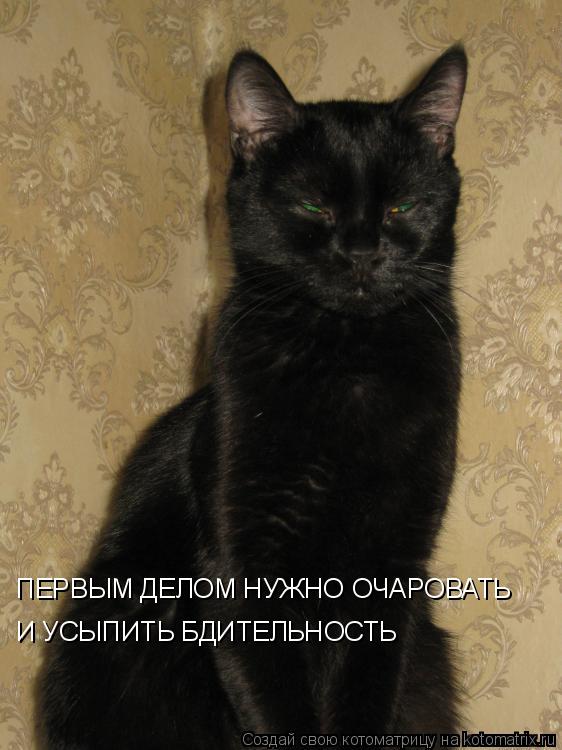 ПЕРВЫМ ДЕЛОМ НУЖНО ОЧАРОВАТЬ И УСЫПИТЬ БДИТЕЛЬНОСТЬ... Котоматрица: ПЕРВЫМ ДЕЛОМ НУЖНО ОЧАРОВАТЬ И УСЫПИТЬ БДИТЕЛЬНОСТЬ
