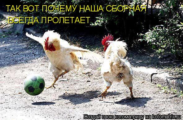 ТАК ВОТ ПОЧЕМУ НАША СБОРНАЯ ВСЕГДА ПРОЛЕТАЕТ... Котоматрица: ТАК ВОТ ПОЧЕМУ НАША СБОРНАЯ ВСЕГДА ПРОЛЕТАЕТ