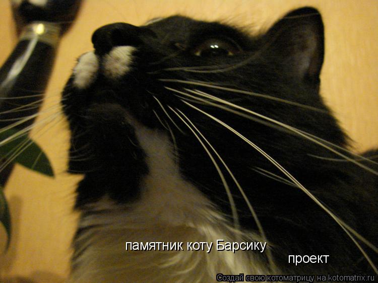 памятник коту Барсику проект... Котоматрица: памятник коту Барсику проект