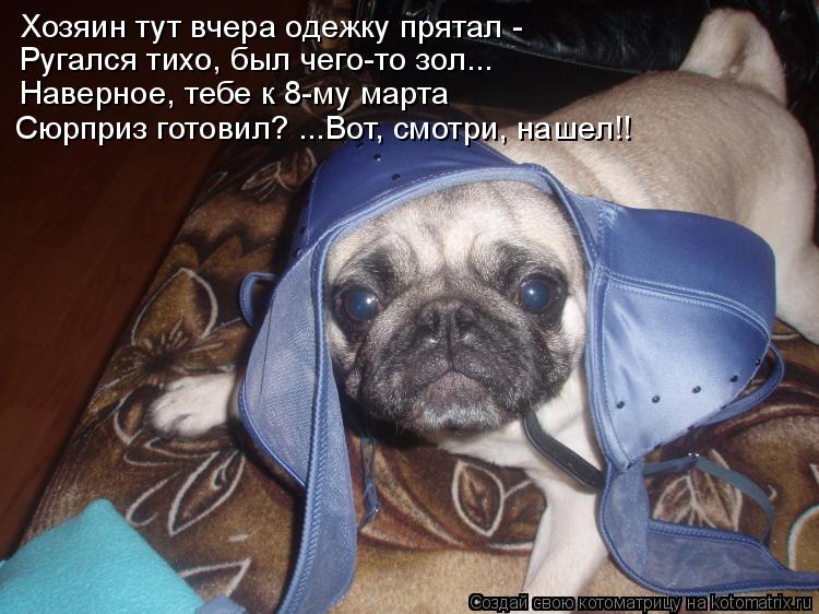 Хозяин тут вчера одежку прятал - Ругался тихо, был чего-то зол... Наверное, тебе к 8-му марта Сюрприз... Котоматрица: Хозяин тут вчера одежку прятал - Ругался тихо, был чего-то зол... Наверное, тебе к 8-му марта Сюрприз готовил? ...Вот, смотри, нашел!!