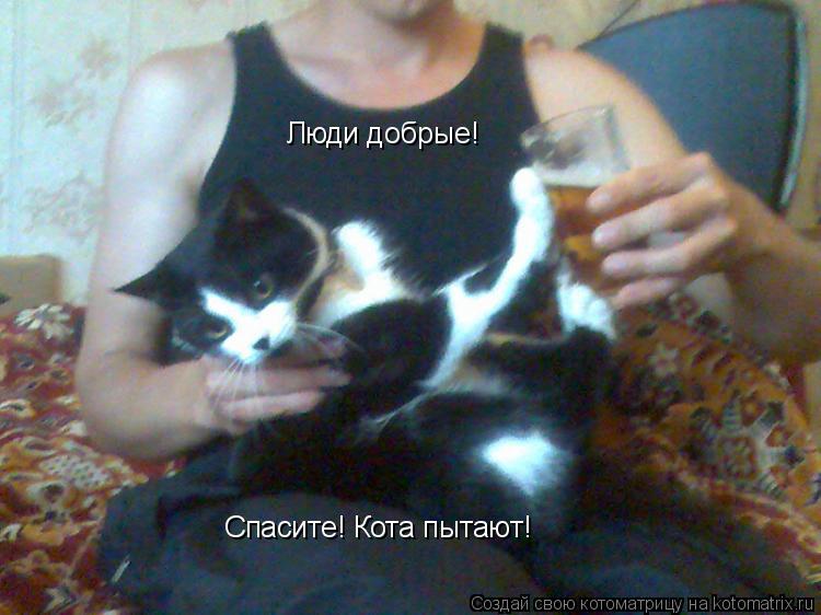 Люди добрые! Спасите! Кота пытают!... Котоматрица: Люди добрые! Спасите! Кота пытают!