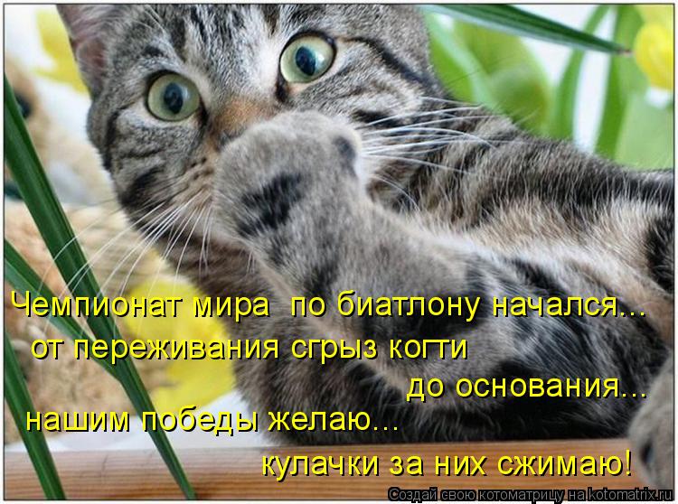 Чемпионат мира по биатлону начался... от переживания сгрыз когти до основания... нашим победы желаю.... Котоматрица: Чемпионат мира по биатлону начался... от переживания сгрыз когти до основания... нашим победы желаю... кулачки за них сжимаю!