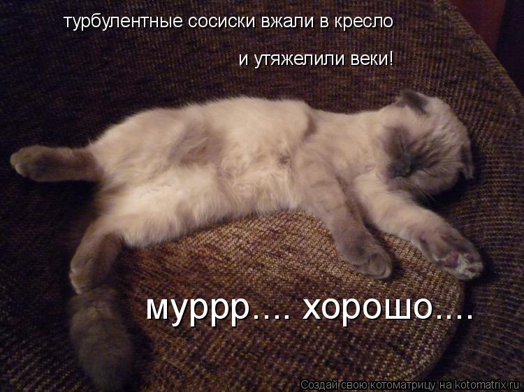 турбулентные сосиски вжали в кресло и утяжелили веки! муррр.... хорошо....... Котоматрица: турбулентные сосиски вжали в кресло и утяжелили веки! муррр.... хорошо....