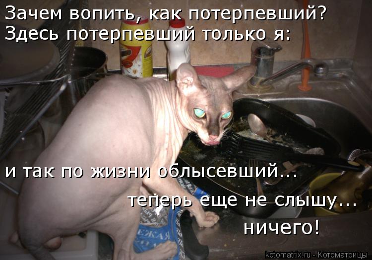Зачем вопить, как потерпевший? Здесь потерпевший только я: и так по жизни облысевший... теперь еще не... Котоматрица: Зачем вопить, как потерпевший? Здесь потерпевший только я: и так по жизни облысевший... теперь еще не слышу... ничего!