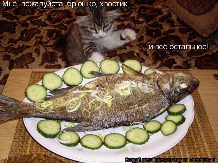 Мне, пожалуйста, брюшко, хвостик... и всё остальное!... Котоматрица: Мне, пожалуйста, брюшко, хвостик... и всё остальное!