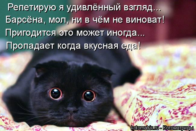 Репетирую я удивлённый взгляд... Барсёна, мол, ни в чём не виноват! Пригодится это может иногда... Пр... Котоматрица: Репетирую я удивлённый взгляд... Барсёна, мол, ни в чём не виноват! Пригодится это может иногда... Пропадает когда вкусная еда!