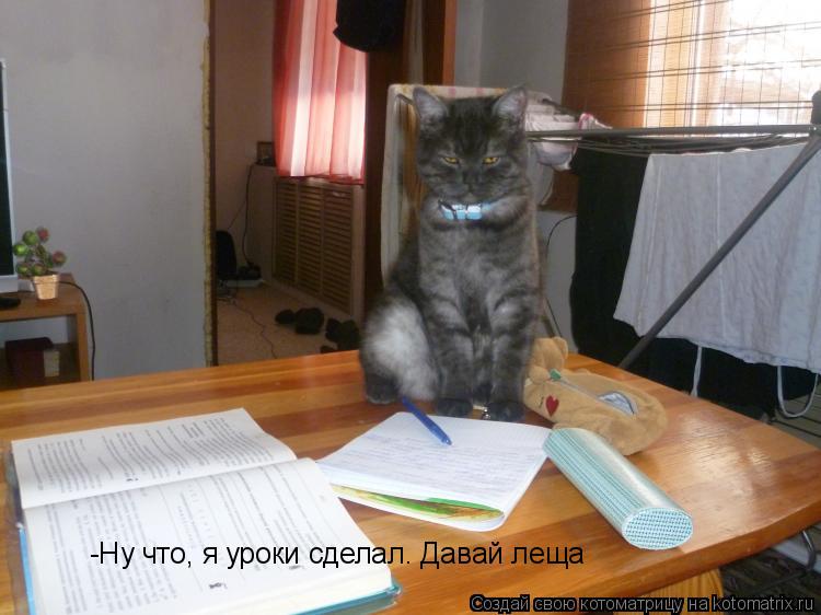-Ну что, я уроки сделал. Давай леща... Котоматрица: -Ну что, я уроки сделал. Давай леща