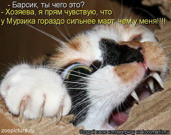 - Барсик, ты чего это? - Хозяева, я прям чувствую, что у Мурзика гораздо сильнее март, чем у меня!!!... Котоматрица: - Барсик, ты чего это? - Хозяева, я прям чувствую, что у Мурзика гораздо сильнее март, чем у меня!!!!