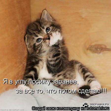 Я в углу посижу заранее, за все то, что потом сделаю!!!... Котоматрица: Я в углу посижу заранее, за все то, что потом сделаю!!!