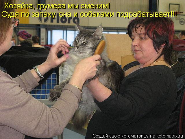 Хозяйка, грумера мы сменим! Судя по запаху, она и собаками подрабатывает!!!... Котоматрица: Хозяйка, грумера мы сменим! Судя по запаху, она и собаками подрабатывает!!!