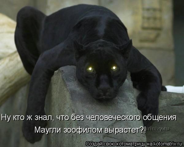 Ну кто ж знал, что без человеческого общения Маугли зоофилом вырастет?!... Котоматрица: Ну кто ж знал, что без человеческого общения Маугли зоофилом вырастет?!