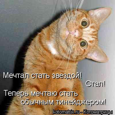 Мечтал стать звездой! Стал! Теперь мечтаю стать обычным тинейджером!... Котоматрица: Мечтал стать звездой! Стал! Теперь мечтаю стать обычным тинейджером!