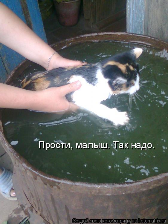 Прости, малыш. Так надо.... Котоматрица: Прости, малыш. Так надо.