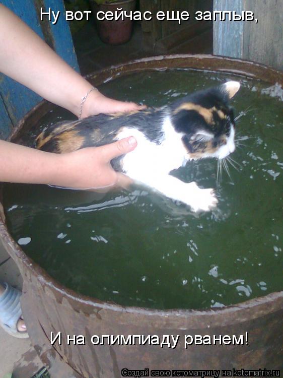 Ну вот сейчас еще заплыв, И на олимпиаду рванем!... Котоматрица: Ну вот сейчас еще заплыв, И на олимпиаду рванем!