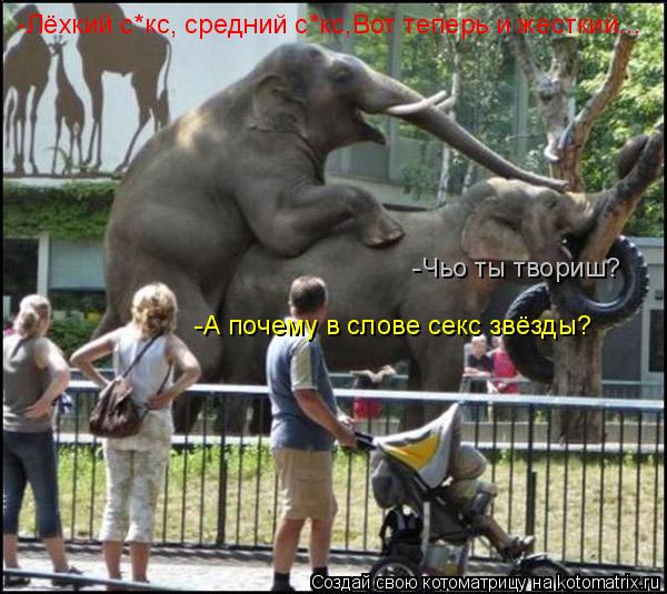 -Лёхкий с*кс, средний с*кс,Вот теперь и жесткий... -Чьо ты твориш? -А почему в слове секс звёзды?... Котоматрица: -Лёхкий с*кс, средний с*кс,Вот теперь и жесткий... -Чьо ты твориш? -А почему в слове секс звёзды?