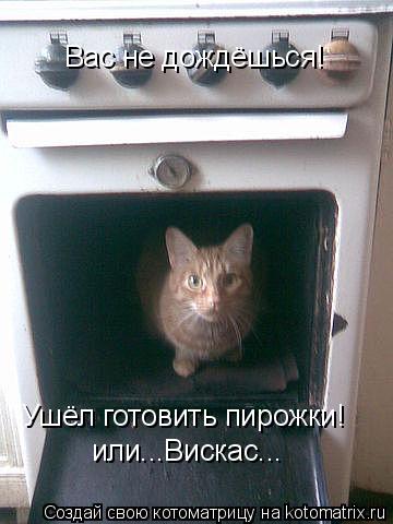 Ушёл готовить пирожки! Вас не дождёшься! или...Вискас...... Котоматрица: Ушёл готовить пирожки! Вас не дождёшься! или...Вискас...