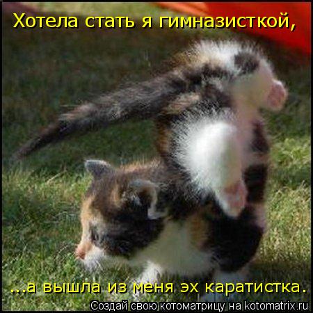 Хотела стать я гимназисткой, ...а вышла из меня эх каратистка.... Котоматрица: Хотела стать я гимназисткой, ...а вышла из меня эх каратистка.