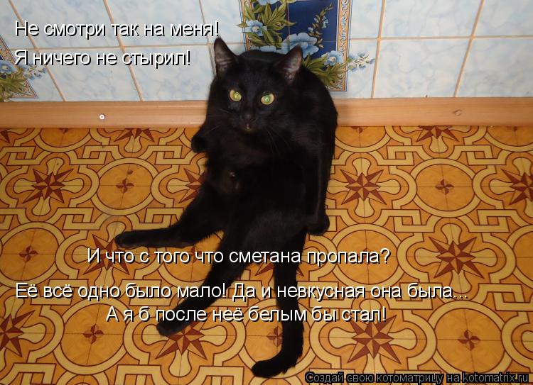 Не смотри так на меня! Я ничего не стырил! И что с того что сметана пропала? Её всё одно было мало! Д... Котоматрица: Не смотри так на меня! Я ничего не стырил! И что с того что сметана пропала? Её всё одно было мало! Да и невкусная она была... А я б после неё бел