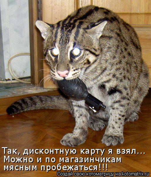 Котоматрица: Так, дисконтную карту я взял... Можно и по магазинчикам мясным пробежаться!!!