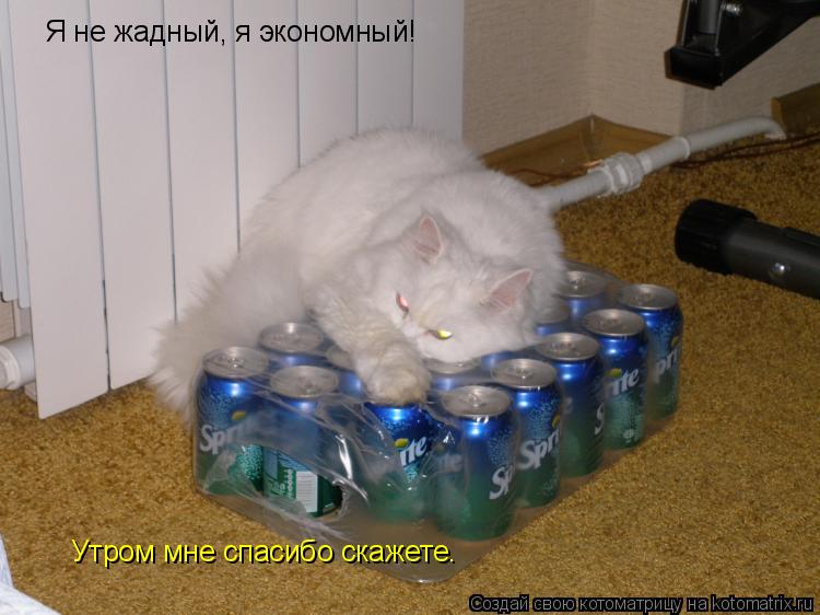 Я не жадный, я экономный! Утром мне спасибо скажете.... Котоматрица: Я не жадный, я экономный! Утром мне спасибо скажете.