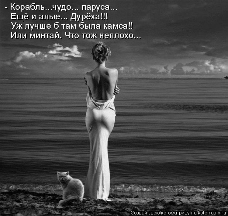 Котоматрица: Ещё и алые... Дурёха!!! Уж лучше б там была камса!! Или минтай. Что тож неплохо... - Корабль...чудо... паруса...