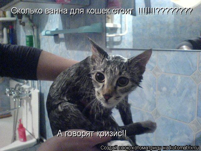Котоматрица: Сколько ванна для кошек стоит  !!!!!!!???????? А говорят кризис!!