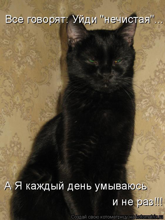 Котоматрица: А Я каждый день умываюсь и не раз!!! Все говорят: Уйди "нечистая"...