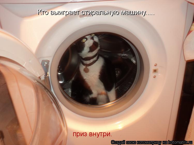 Котоматрица: Кто выиграет стиральную машину..... приз внутри.