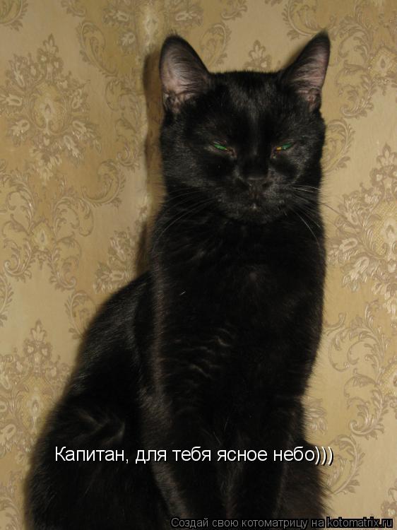 Котоматрица: Капитан, для тебя ясное небо)))