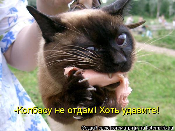 Котоматрица: -Колбасу не отдам! Хоть удавите!