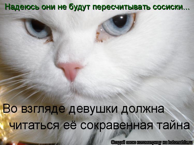 Котоматрица: Во взгляде девушки должна читаться её сокравенная тайна Надеюсь они не будут пересчитывать сосиски...