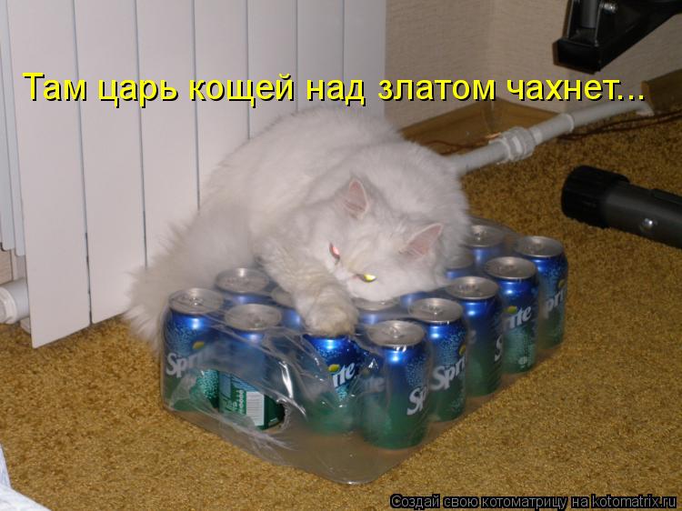 Котоматрица: Там царь кощей над златом чахнет...