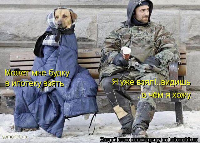 Котоматрица: Может мне будку в ипотеку взять ..в чём я хожу. Я уже взял!..видишь
