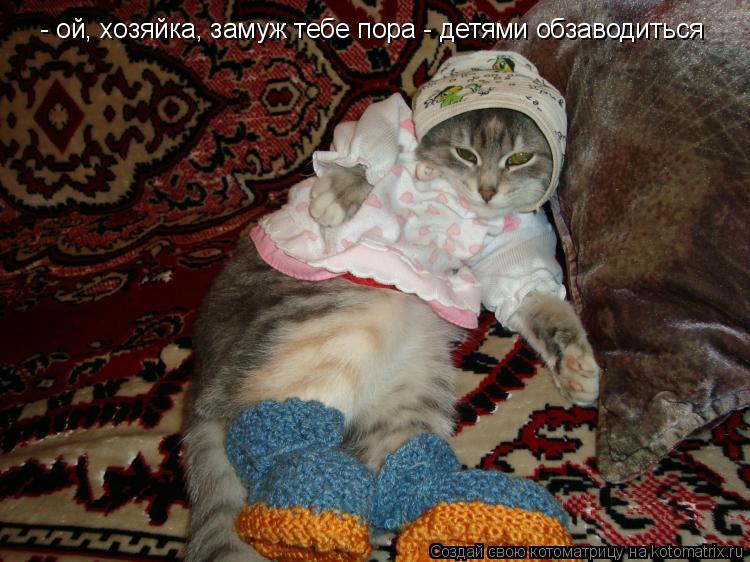 Котоматрица: - ой, хозяйка, замуж тебе пора - детями обзаводиться