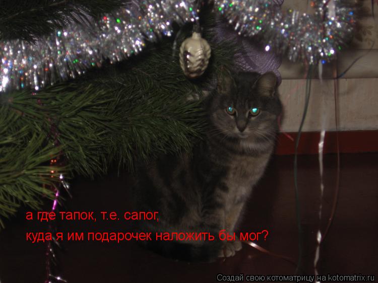 Котоматрица: а где тапок, т.е. сапог, куда я им подарочек наложить бы мог?