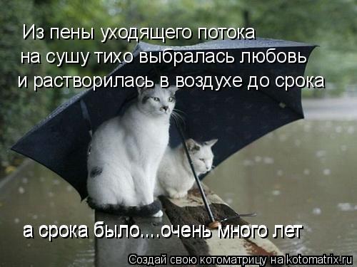 Котоматрица: Из пены уходящего потока на сушу тихо выбралась любовь и растворилась в воздухе до срока а срока было....очень много лет а срока было....очень 