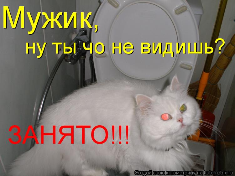 Котоматрица: Мужик, ну ты чо не видишь? ЗАНЯТО!!!