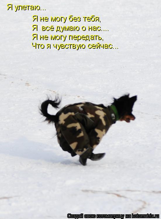 Котоматрица: Я улетаю... Я не могу без тебя, Я  всё думаю о нас.... Я не могу передать, Что я чувствую сейчас...