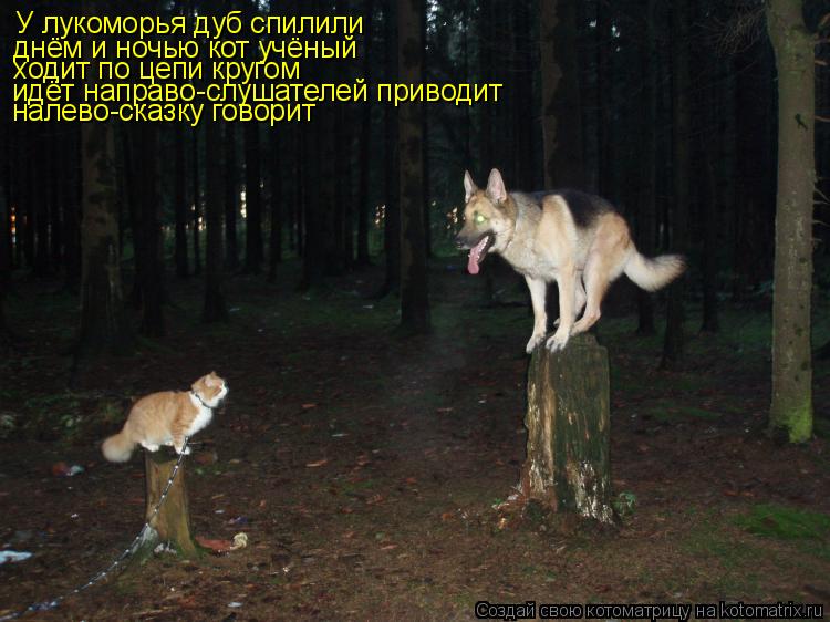 Котоматрица: У лукоморья дуб спилили днём и ночью кот учёный ходит по цепи кругом идёт направо-слушателей приводит налево-сказку говорит
