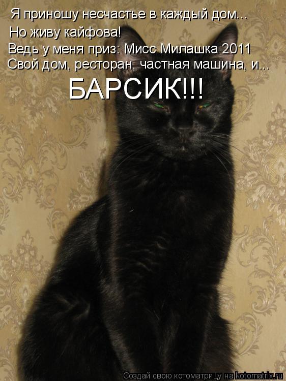 Котоматрица: Я приношу несчастье в каждый дом... Но живу кайфова! Ведь у меня приз: Мисс Милашка 2011 Свой дом, ресторан, частная машина, и... БАРСИК!!!