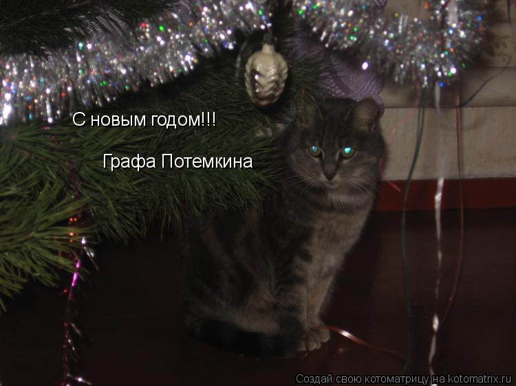 Котоматрица: С новым годом!!! Графа Потемкина