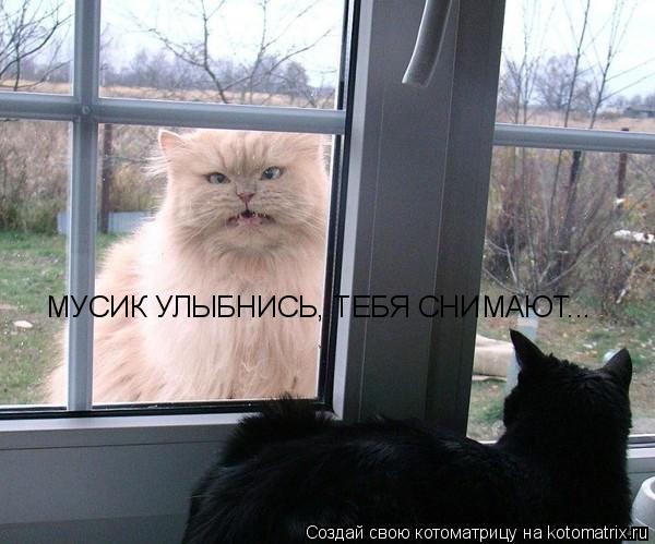 Котоматрица: МУСИК УЛЫБНИСЬ, ТЕБЯ СНИМАЮТ...