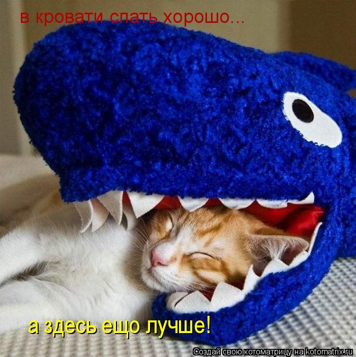 Котоматрица: в кровати спать хорошо... а здесь ещо лучше!