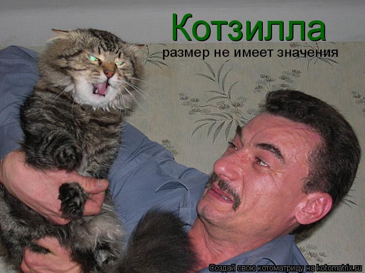 Котоматрица: Котзилла размер не имеет значения