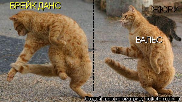 Котоматрица: БРЕЙК ДАНС ВАЛЬС ЖЮРИ -----------------------------------------