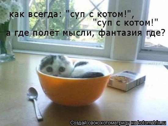 Котоматрица: как всегда: "суп с котом!",  "суп с котом!" а где полёт мысли, фантазия где?