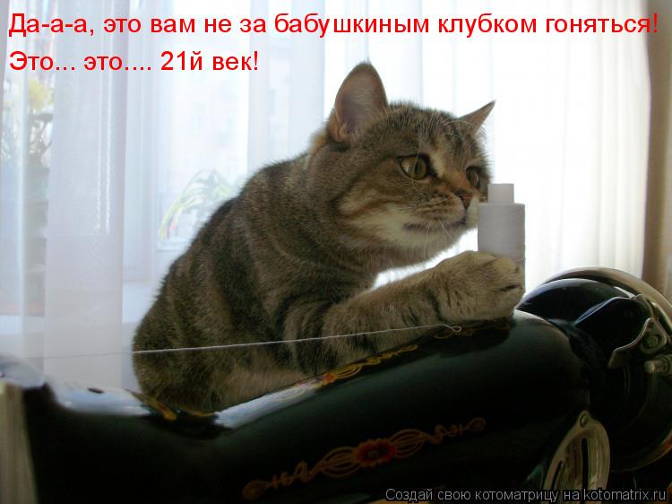 Котоматрица: Да-а-а, это вам не за бабушкиным клубком гоняться! Это... это.... 21й век!