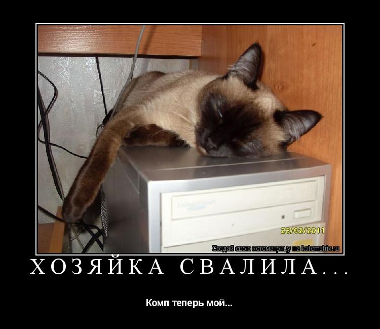 Хозяйка свалила... Комп теперь мой...... Котоматрица: Хозяйка свалила... Комп теперь мой...